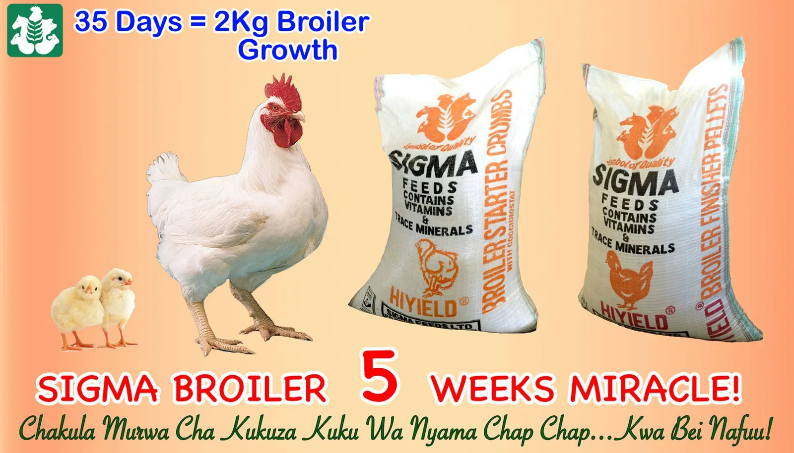 YHK supplied asset: 3.jpg