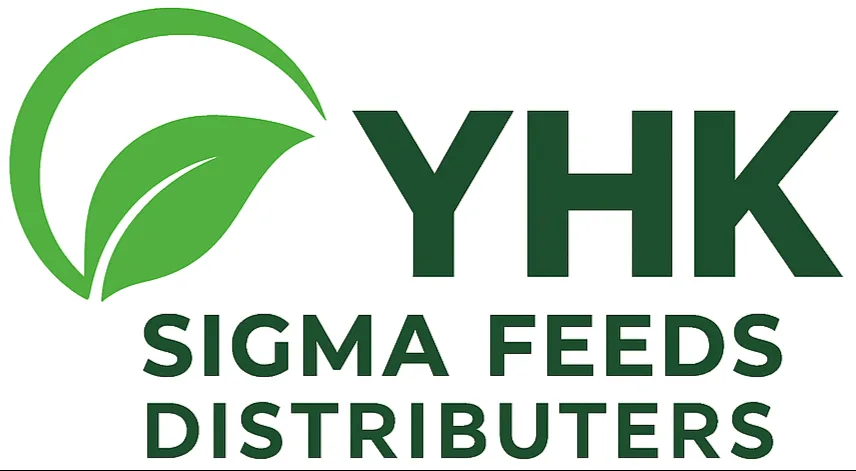 YHK supplied asset: logo1.png